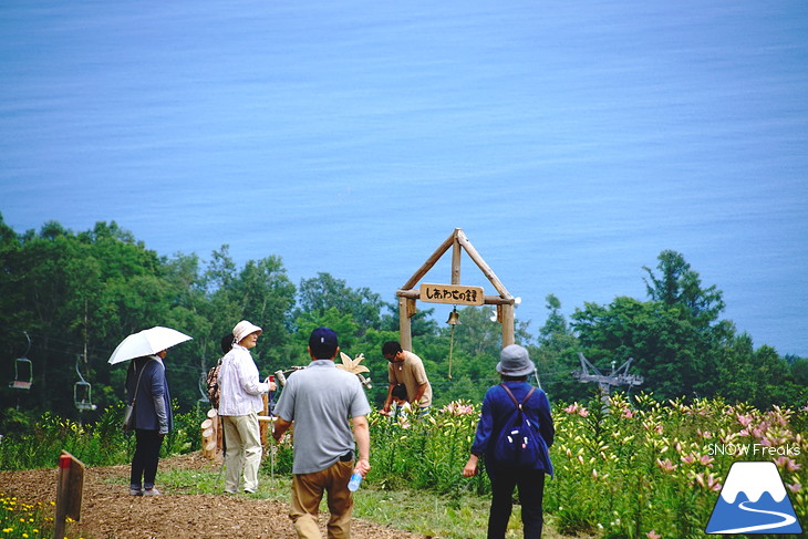 北海道最大級、213万輪のゆりの花！『オーンズ春香山ゆり園』